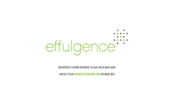 Desktop Screenshot of effulgenceinc.com